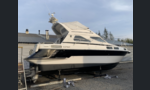 Sealine 310 Statesman-kuva-6